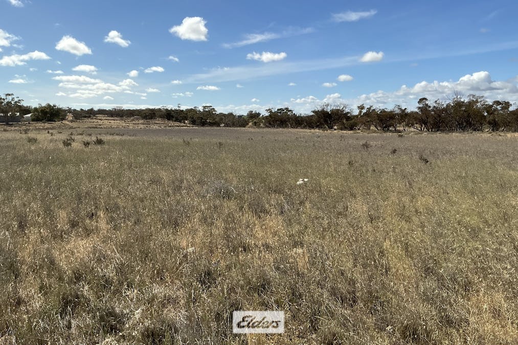 109 Underbool - Patchewollock Road, Underbool, VIC, 3509 - Image 26