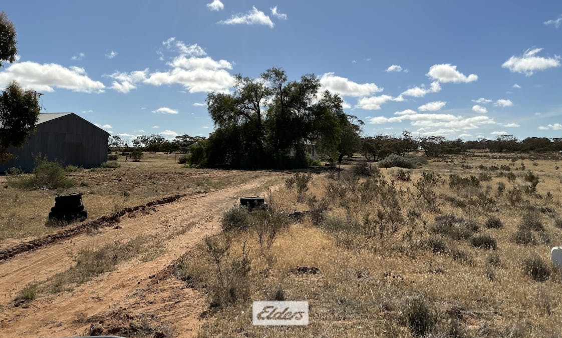 109 Underbool - Patchewollock Road, Underbool, VIC, 3509 - Image 29