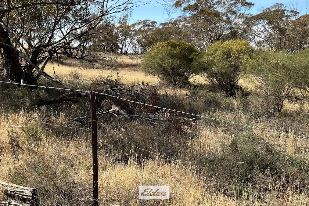 109 Underbool - Patchewollock Road, Underbool, VIC, 3509 - Image 32