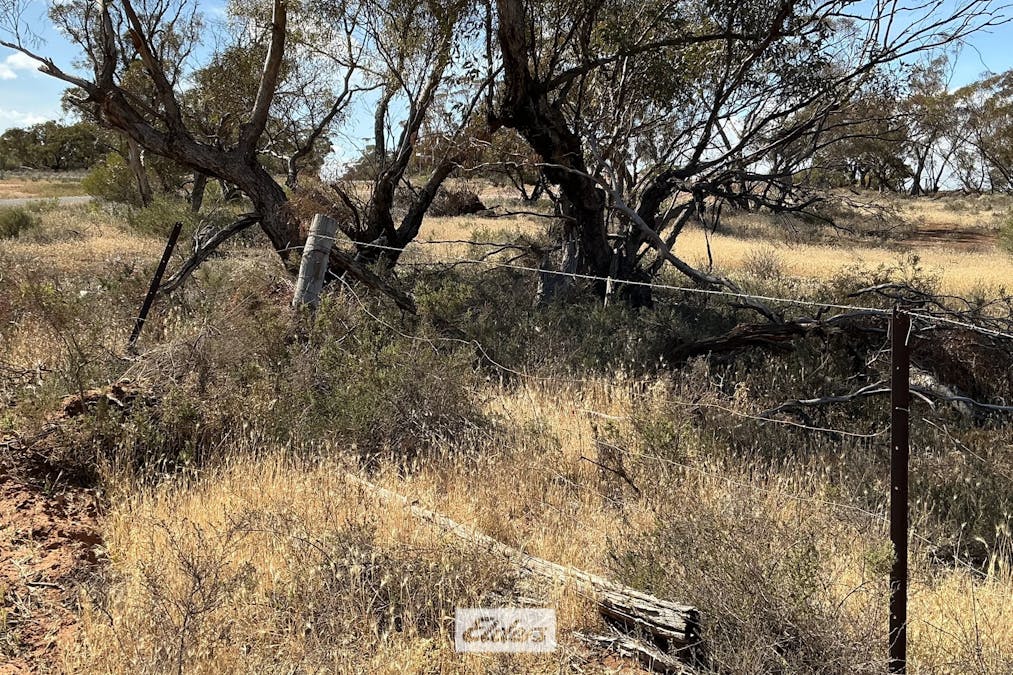 109 Underbool - Patchewollock Road, Underbool, VIC, 3509 - Image 33