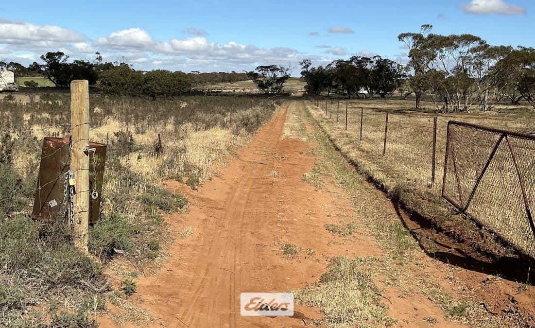 109 Underbool - Patchewollock Road, Underbool, VIC, 3509 - Image 34