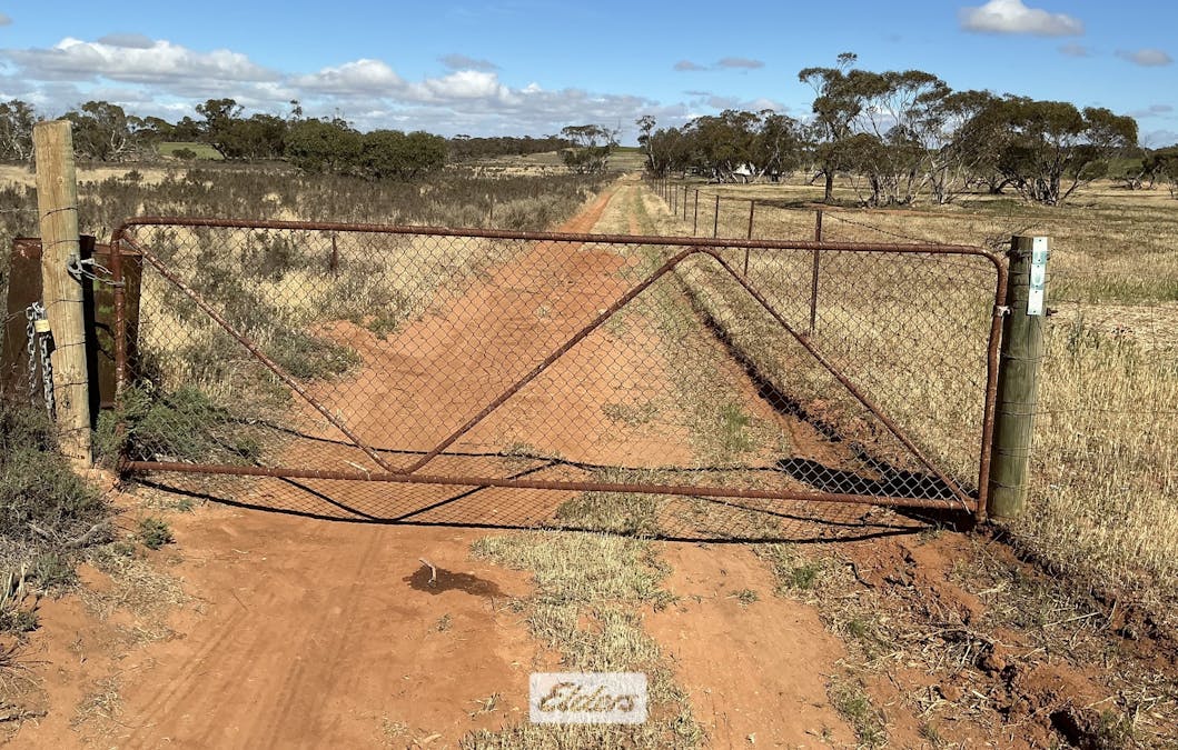 109 Underbool - Patchewollock Road, Underbool, VIC, 3509 - Image 30