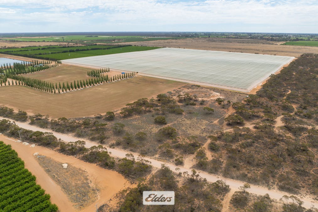 Lot/ 1 Yatpool West Road, Red Cliffs, VIC, 3496 - Image 8