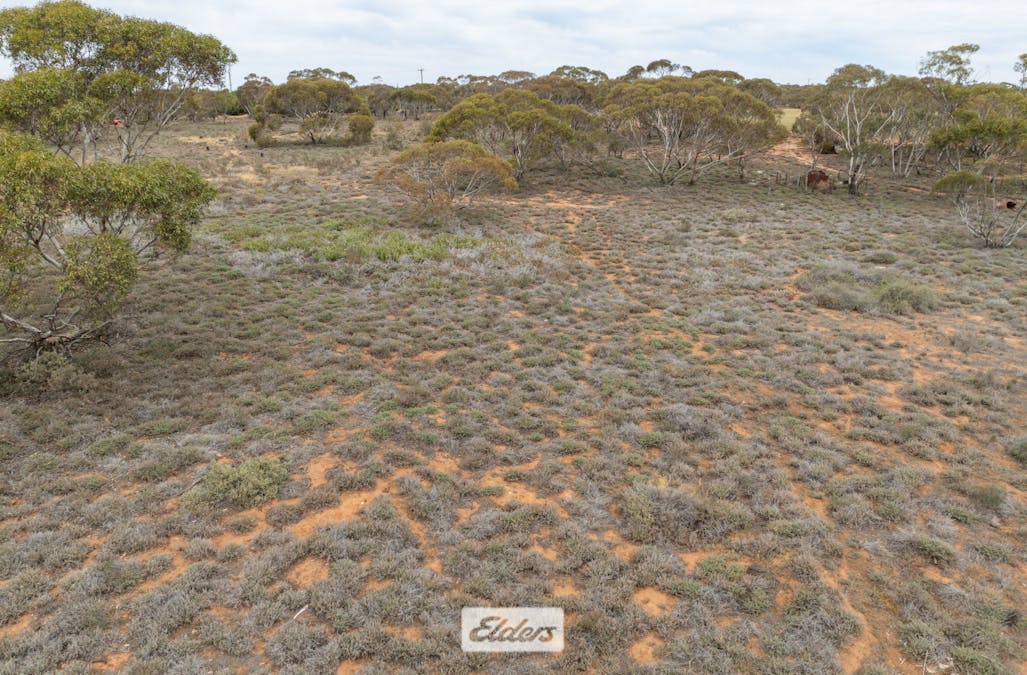 Lot/ 1 Yatpool West Road, Red Cliffs, VIC, 3496 - Image 12