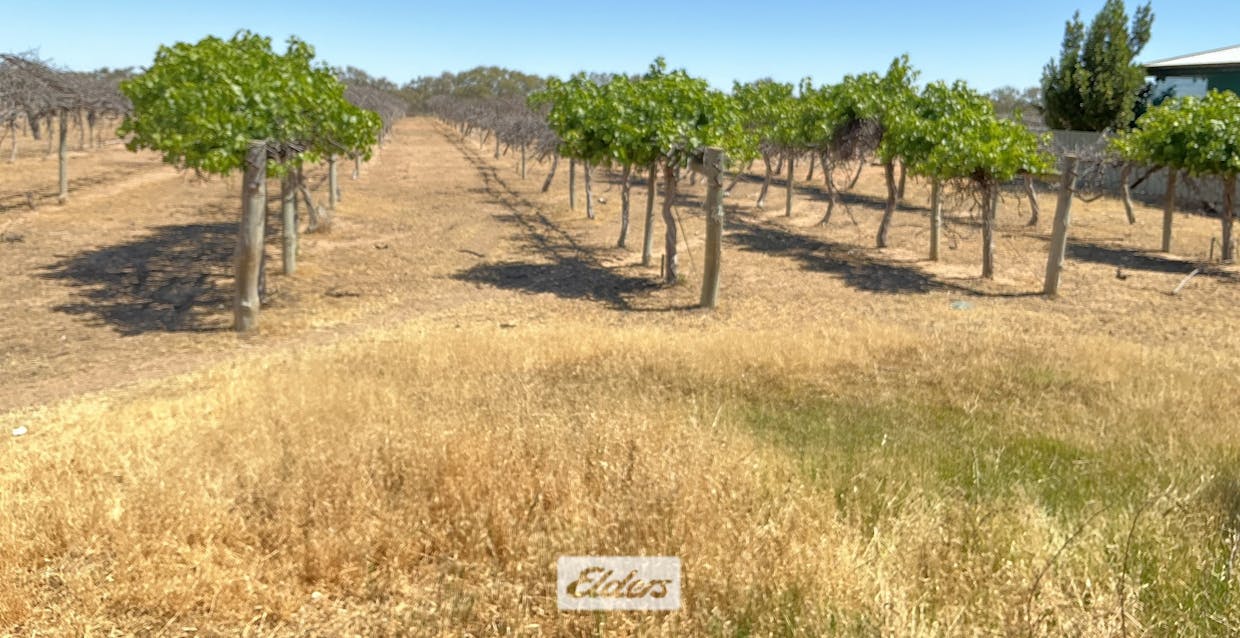 48 Wilcannia - Menindee Road, Menindee, NSW, 2879 - Image 21