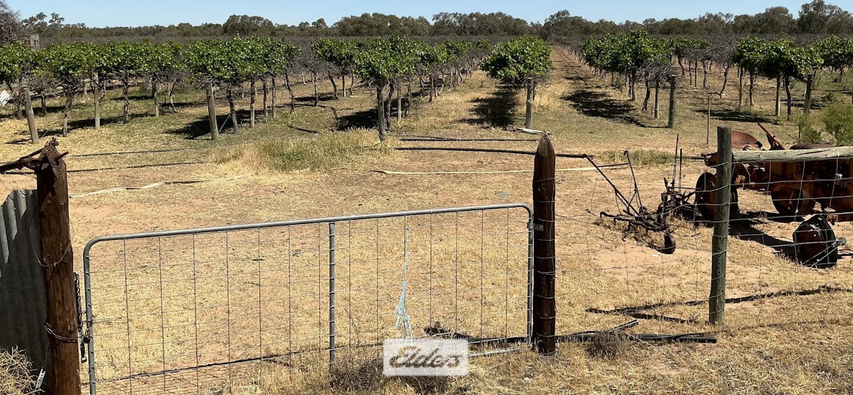 48 Wilcannia - Menindee Road, Menindee, NSW, 2879 - Image 22