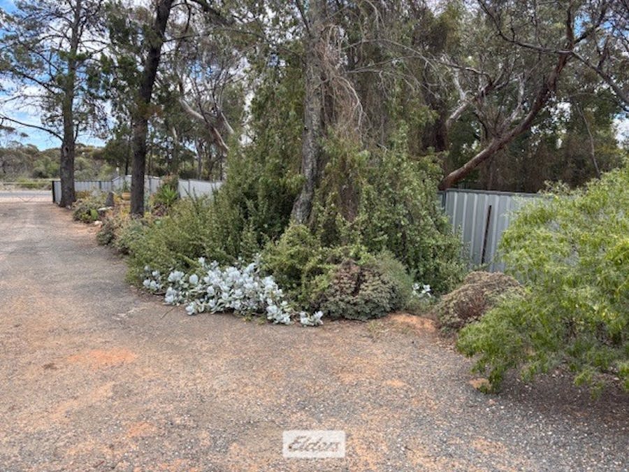 37 Cregan Street, Walpeup, VIC, 3507 - Image 19