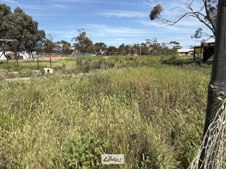 1 William Street, Chinkapook, VIC, 3546 - Image 2