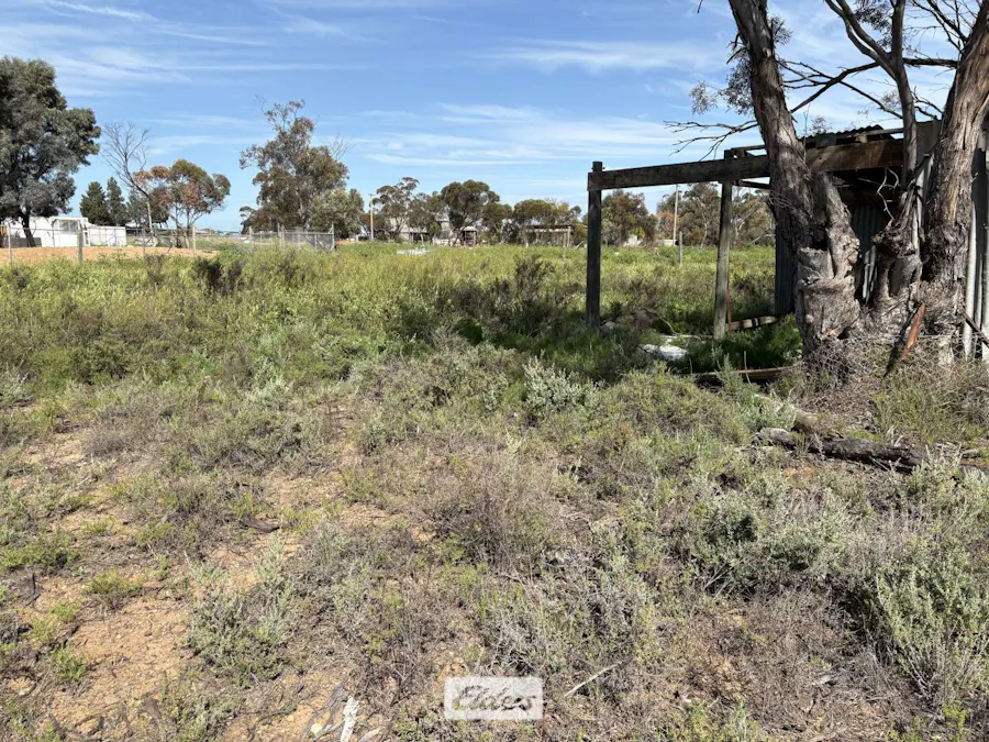 1 William Street, Chinkapook, VIC, 3546 - Image 5