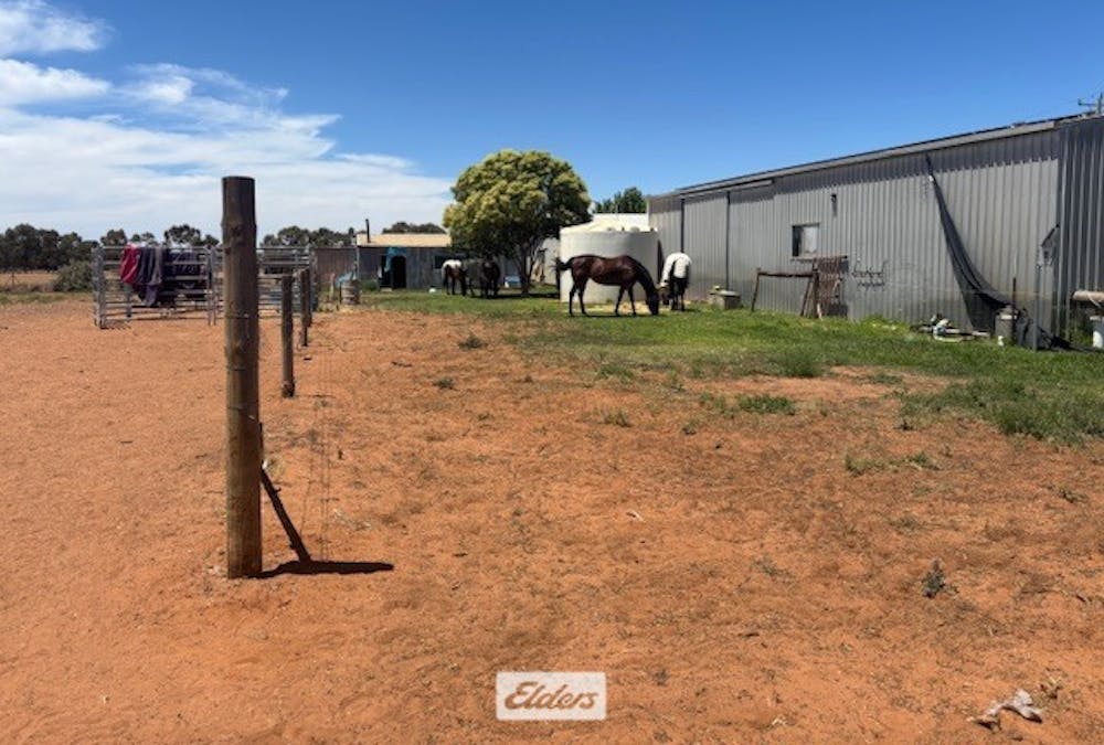 18 Collie Road, Irymple, VIC, 3498 - Image 10