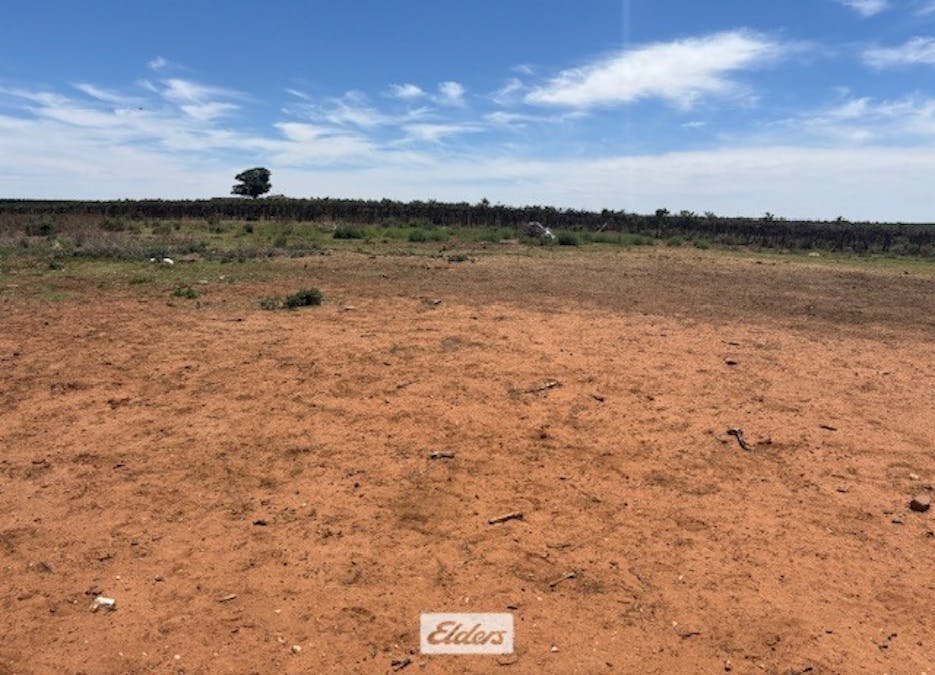 18 Collie Road, Irymple, VIC, 3498 - Image 11