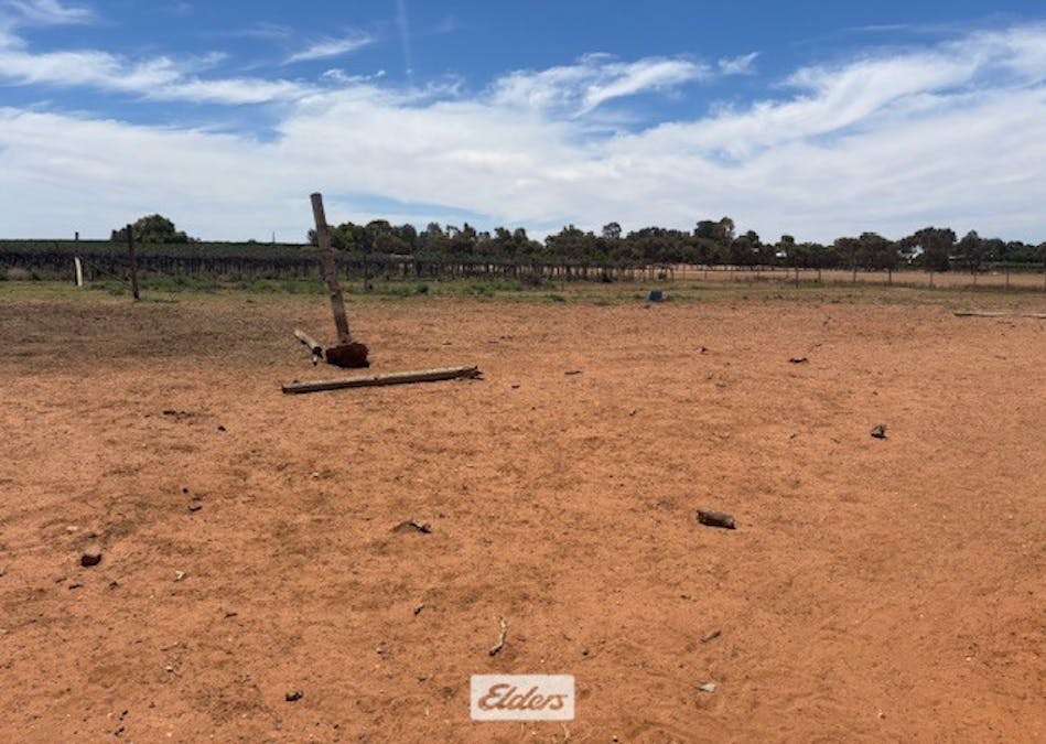 18 Collie Road, Irymple, VIC, 3498 - Image 13