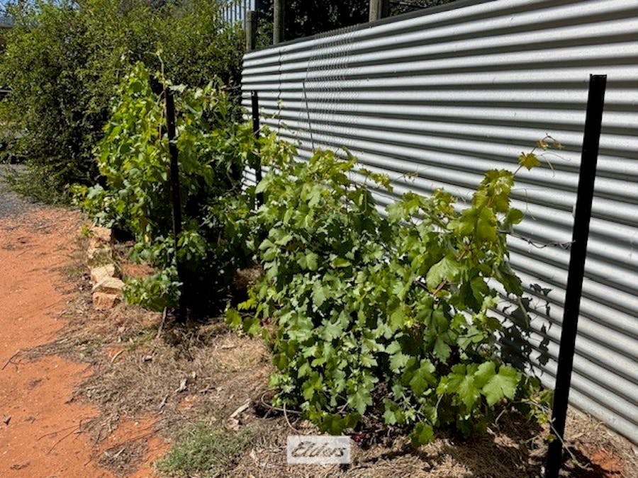 9-11 Tarcoola Street, Pooncarie, NSW, 2648 - Image 33