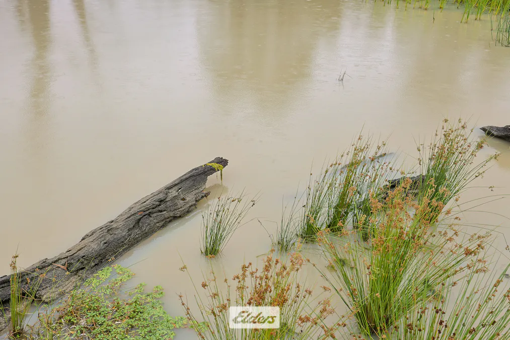 114 Dry Lake Road, Euston, NSW, 2737 - Image 23