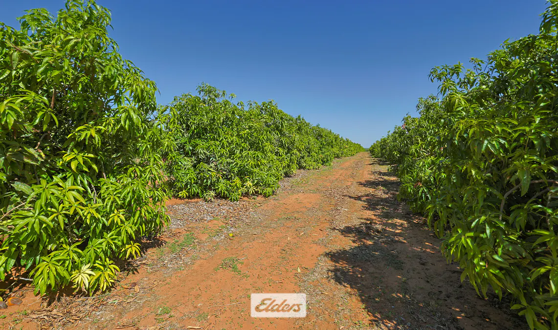 135 Red Hill Road, Pomona, NSW, 2648 - Image 27