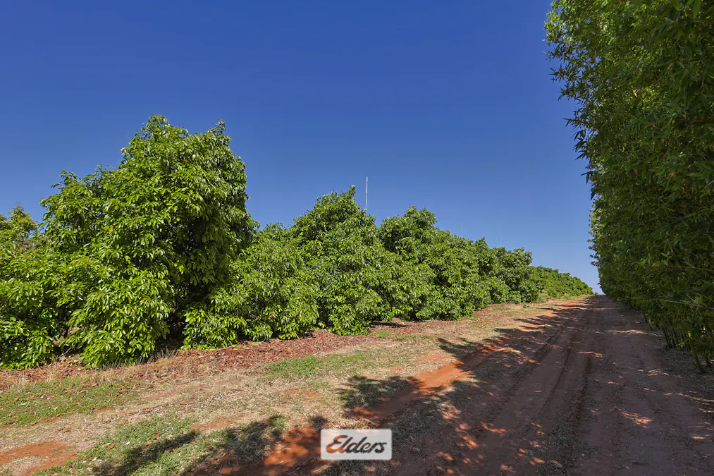 135 Red Hill Road, Pomona, NSW, 2648 - Image 28