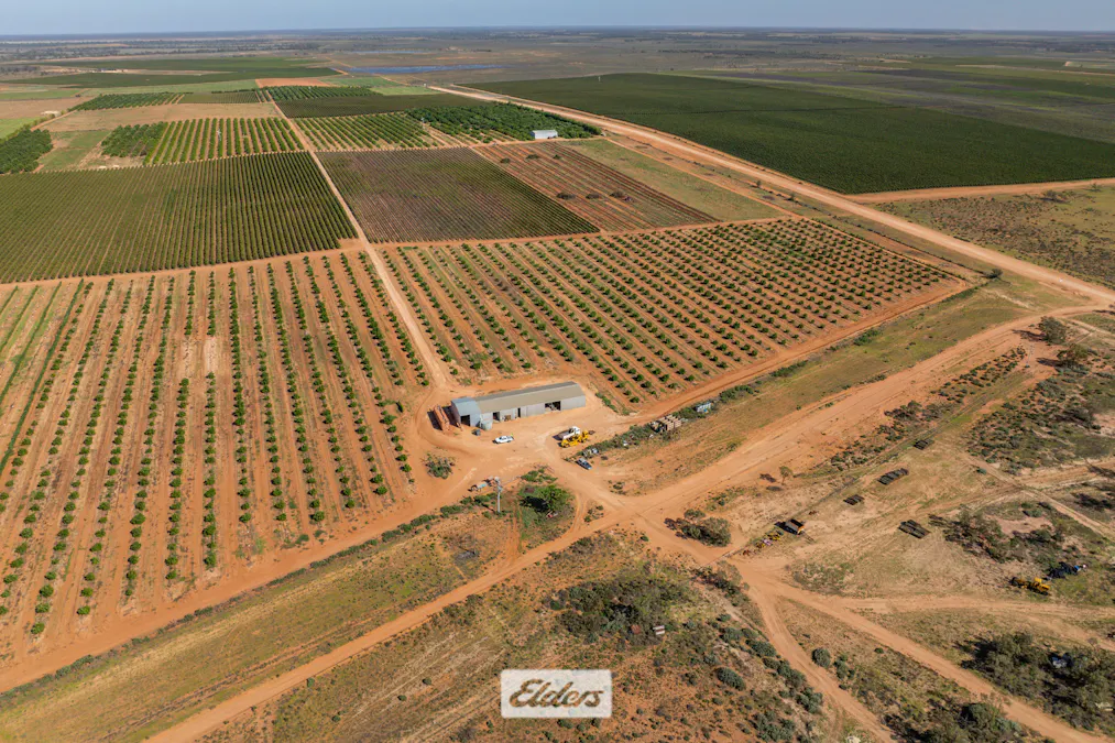 135 Red Hill Road, Pomona, NSW, 2648 - Image 2