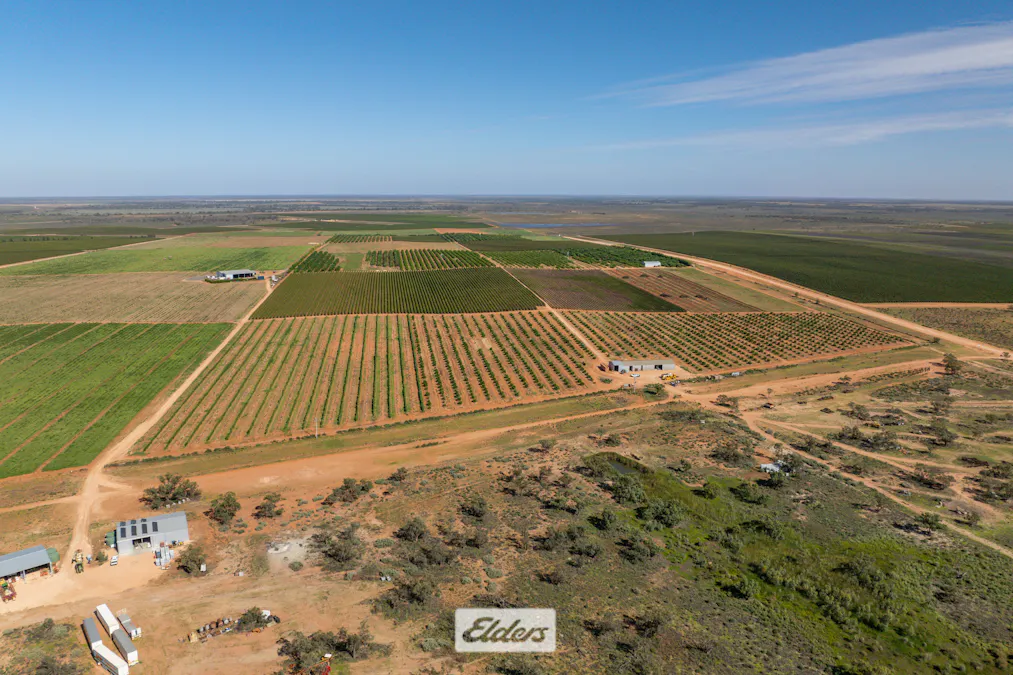 135 Red Hill Road, Pomona, NSW, 2648 - Image 1