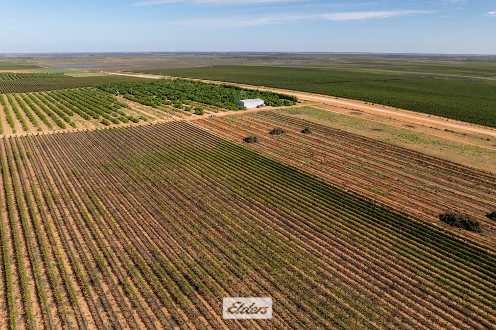 135 Red Hill Road, Pomona, NSW, 2648 - Image 31