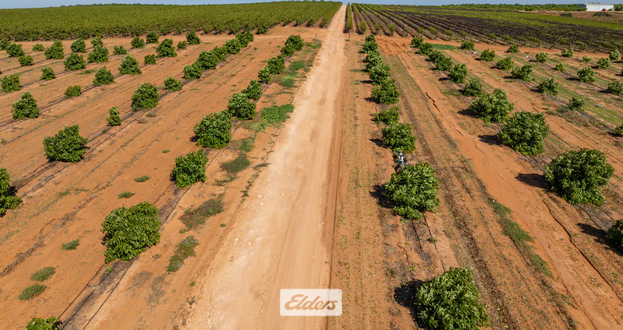 135 Red Hill Road, Pomona, NSW, 2648 - Image 32