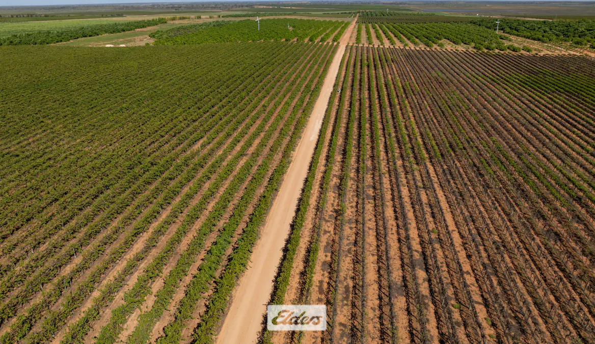 135 Red Hill Road, Pomona, NSW, 2648 - Image 34