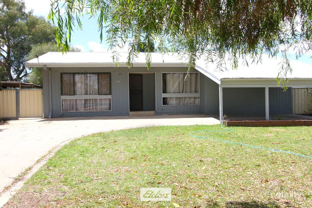 175 Adams Street, Wentworth, NSW, 2648 - Image 1
