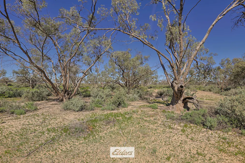 Old Mail Road, Cullulleraine, VIC, 3496 - Image 25