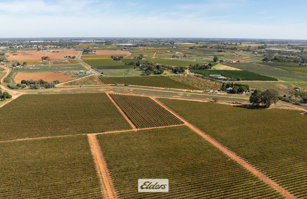 51B Pumps Road, Red Cliffs, VIC, 3496 - Image 3