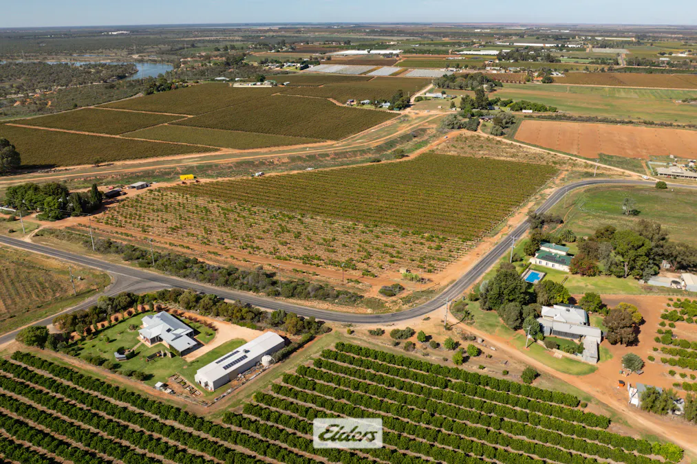 51B Pumps Road, Red Cliffs, VIC, 3496 - Image 6
