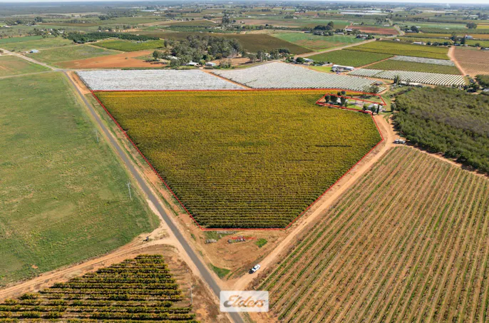 Lot/2 Trioda Street, Red Cliffs, VIC, 3496 - Image 1