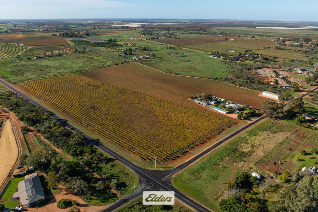 Lot/2 Lowan Avenue, Red Cliffs, VIC, 3496 - Image 4