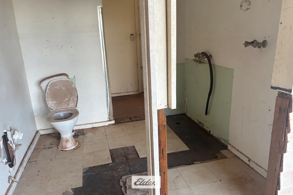 524 Shaggy Ridge Road — photo 19 of 20