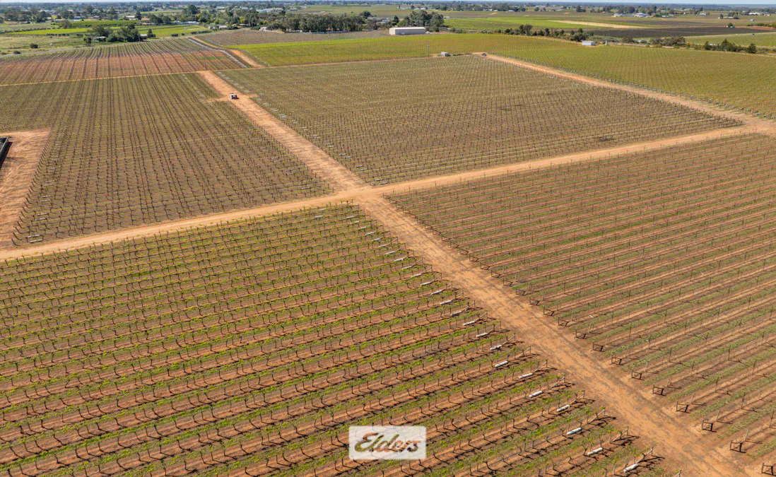 83A Belar Avenue, Irymple, VIC, 3498 - Image 6