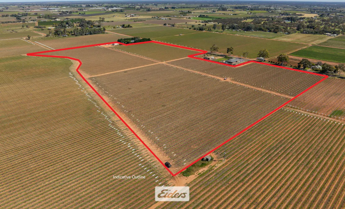 83A Belar Avenue, Irymple, VIC, 3498 - Image 8