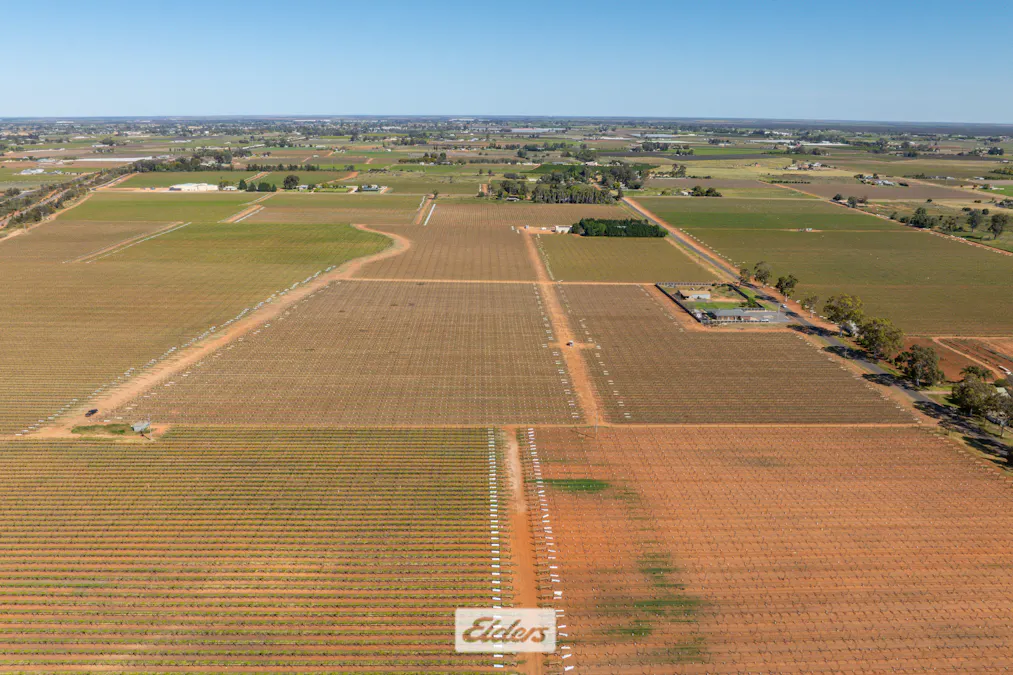 83A Belar Avenue, Irymple, VIC, 3498 - Image 13