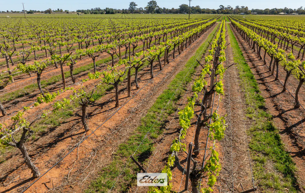 83A Belar Avenue, Irymple, VIC, 3498 - Image 4