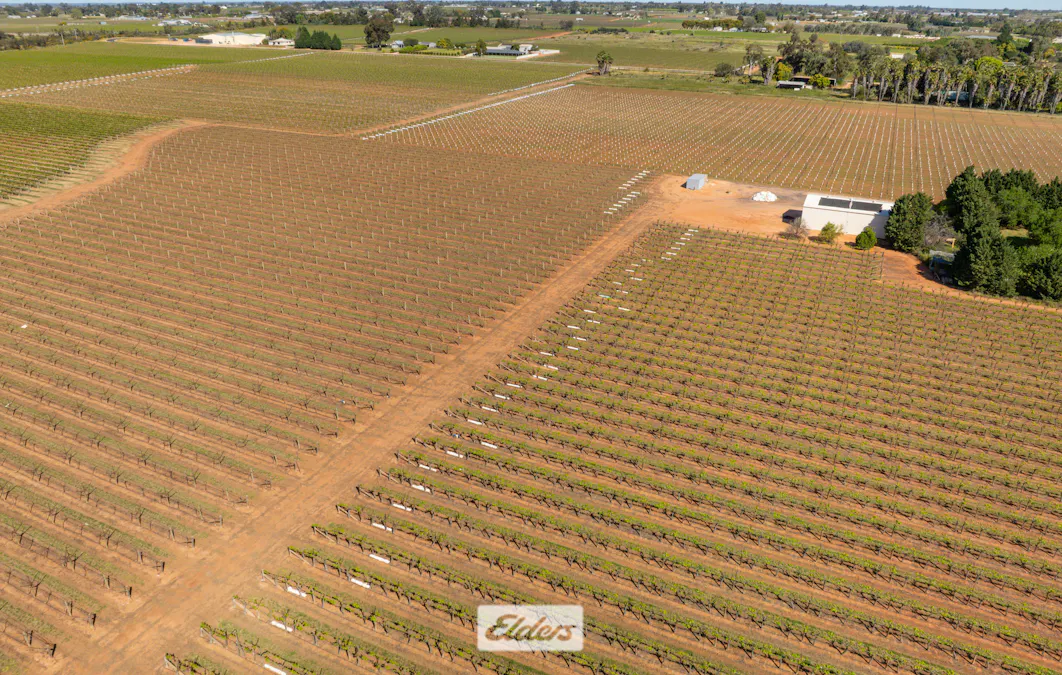 83A Belar Avenue, Irymple, VIC, 3498 - Image 20