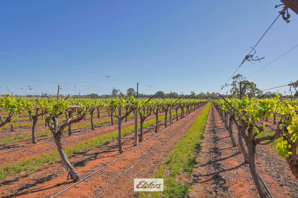 83A Belar Avenue, Irymple, VIC, 3498 - Image 22