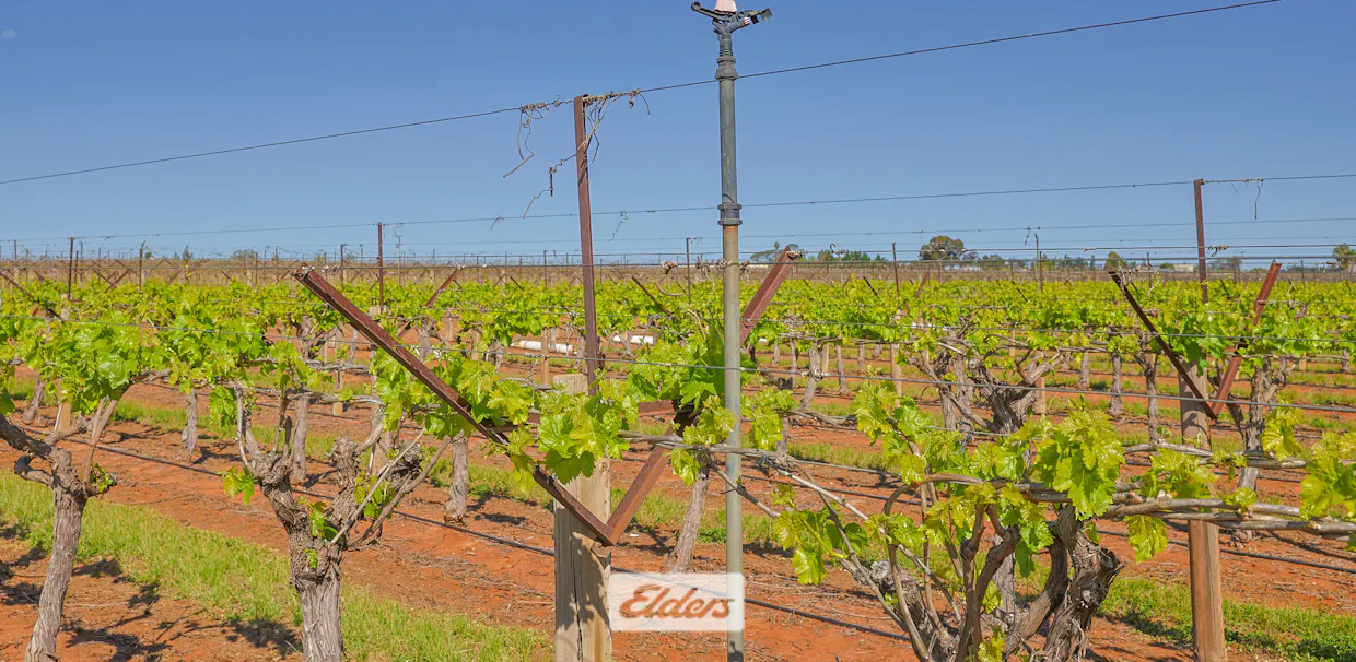 83A Belar Avenue, Irymple, VIC, 3498 - Image 26