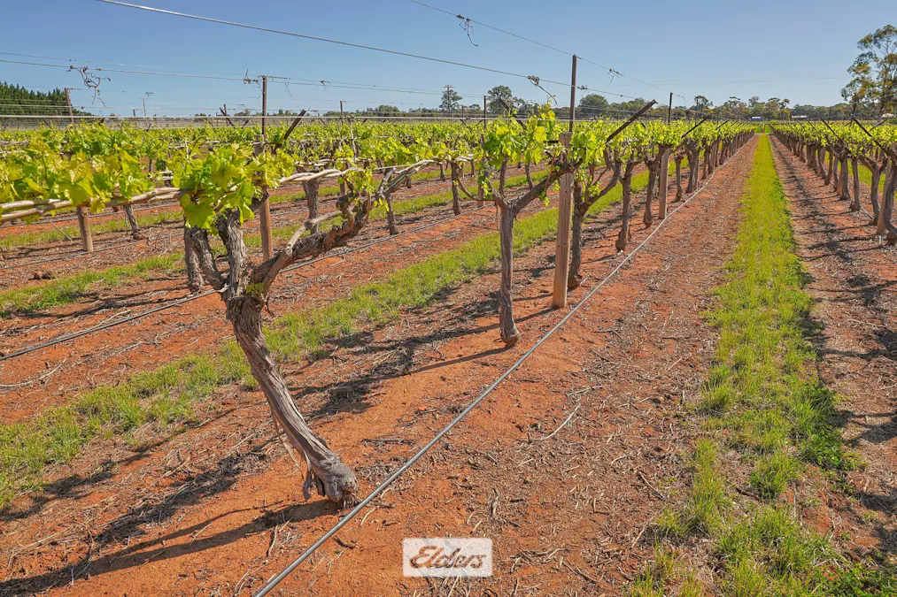 83A Belar Avenue, Irymple, VIC, 3498 - Image 25