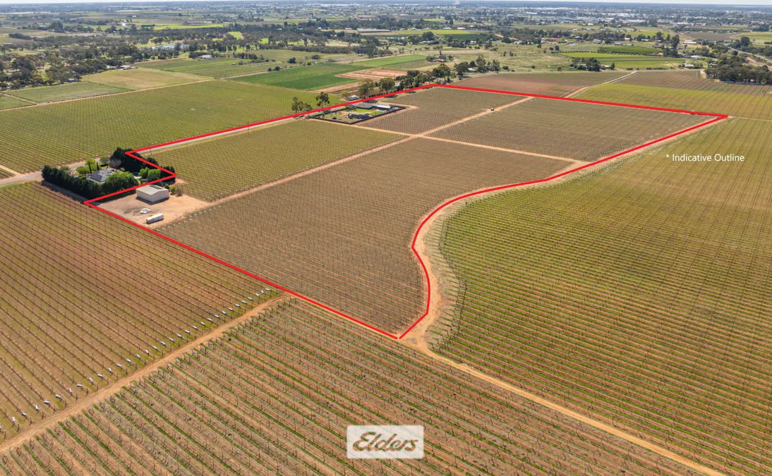 83A Belar Avenue, Irymple, VIC, 3498 - Image 1
