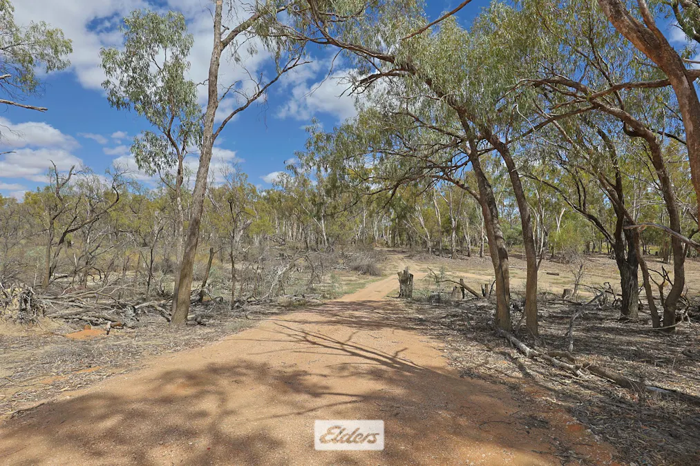 14 Boeill Creek Road, Boeill Creek, NSW, 2739 - Image 14