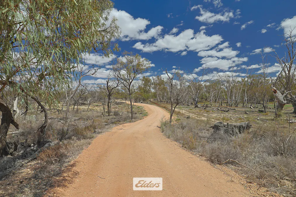 14 Boeill Creek Road, Boeill Creek, NSW, 2739 - Image 16