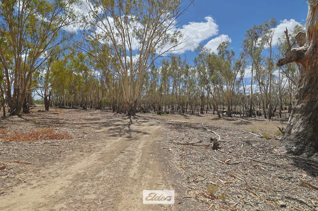 14 Boeill Creek Road, Boeill Creek, NSW, 2739 - Image 17