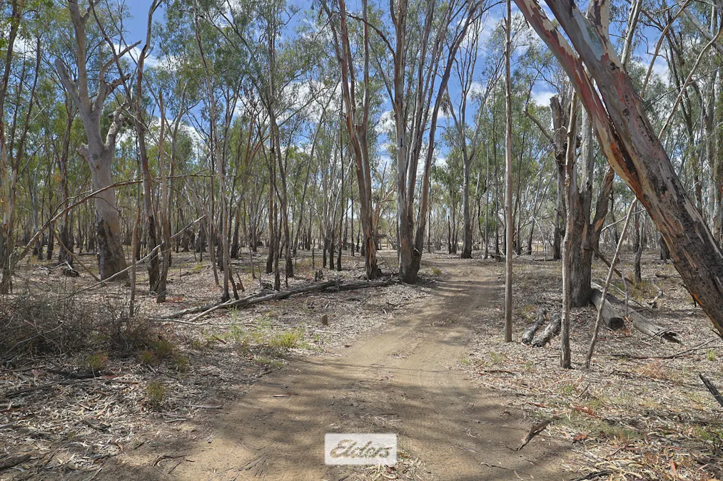 14 Boeill Creek Road, Boeill Creek, NSW, 2739 - Image 24