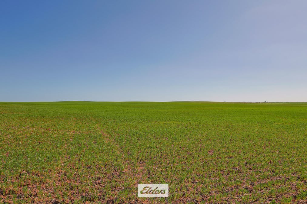 1319 Yanga Way, Kyalite, NSW, 2715 - Image 4