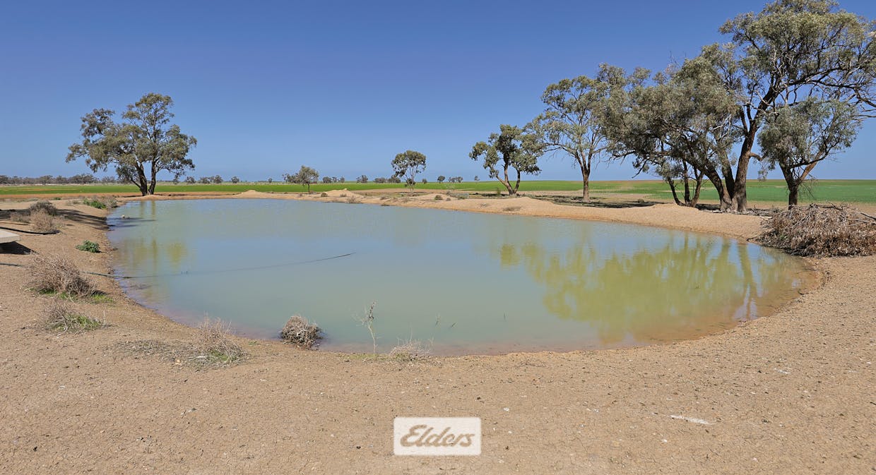 1319 Yanga Way, Kyalite, NSW, 2715 - Image 5