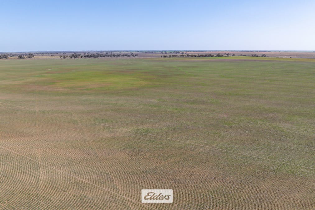 1319 Yanga Way, Kyalite, NSW, 2715 - Image 11