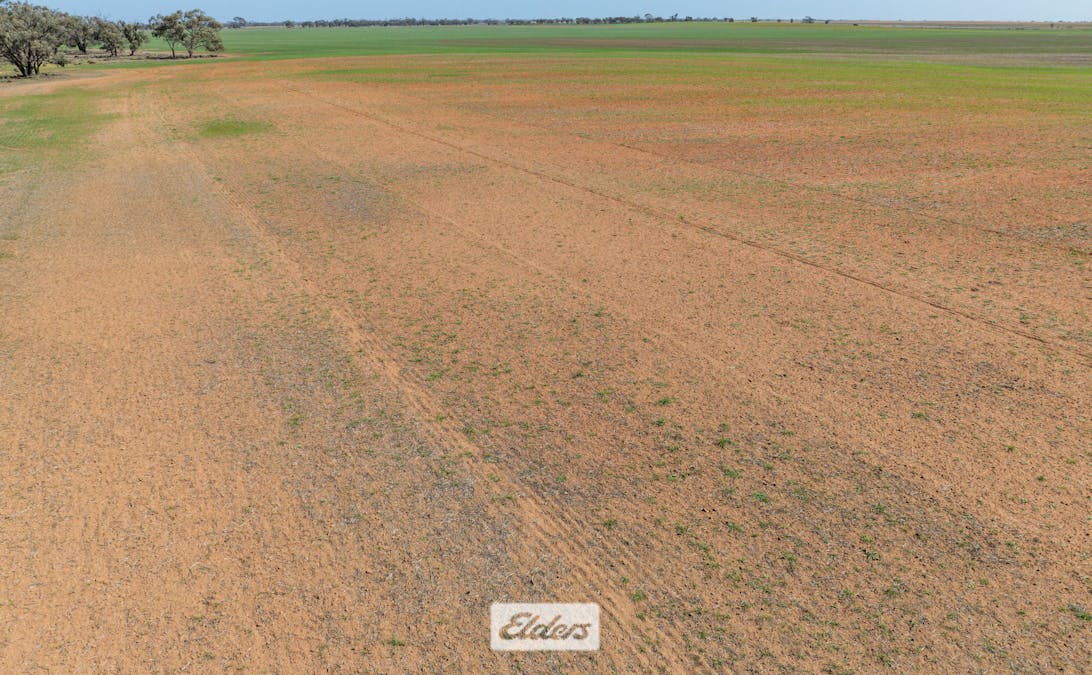 1319 Yanga Way, Kyalite, NSW, 2715 - Image 13