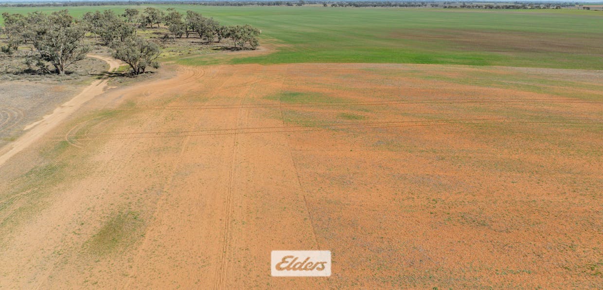 1319 Yanga Way, Kyalite, NSW, 2715 - Image 14